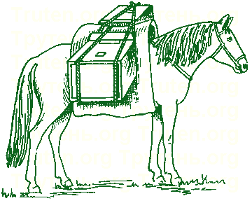 Перевозка ульев вьюком на лошади